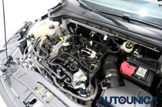 FORD Focus usata 61