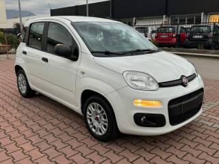 FIAT Panda 1.3 MJT S.&S. EASY VAN 4 POSTI AZIENDALE KM 49.203