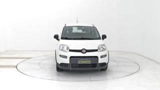 FIAT Panda usata, con Climatizzatore