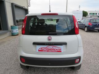 FIAT Panda usata, con Airbag testa