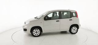 FIAT Panda usata 25