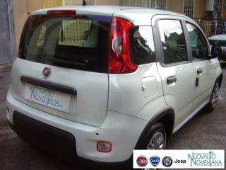 FIAT Panda usata, con Cruise Control