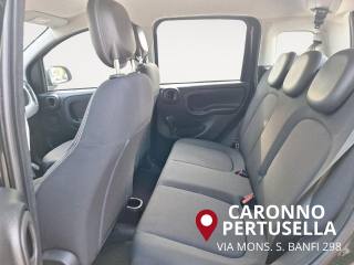 FIAT Panda usata 14