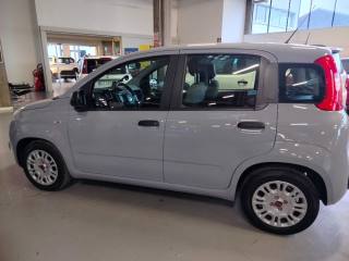 FIAT Panda usata 13
