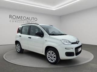 FIAT Panda usata 7