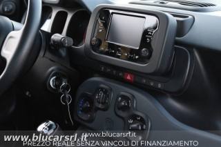FIAT Panda usata 17