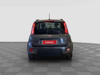 FIAT Panda usata 3