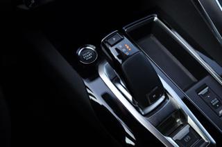 PEUGEOT 5008 usata, con Interni in pelle