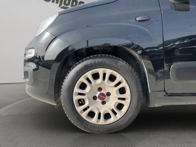 FIAT Panda usata 15