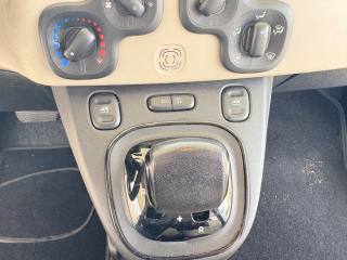 FIAT Panda usata 38