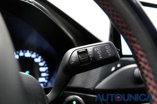 FORD Focus usata, con Bracciolo