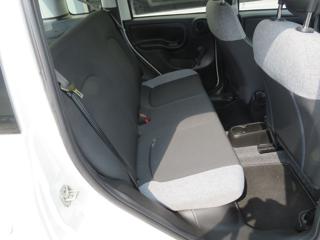 FIAT Panda usata 20