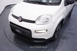 FIAT New Panda usata 23