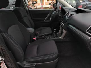 SUBARU Forester usata, con Chiusura centralizzata