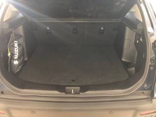 SUZUKI S-Cross usata, con Controllo trazione