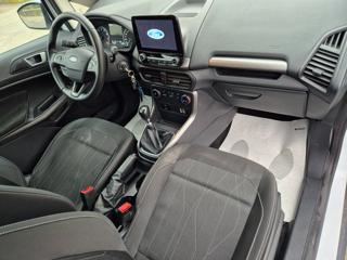 FORD EcoSport usata, con Fendinebbia