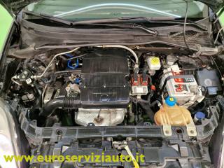 FIAT Punto Evo usata 44