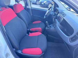 FIAT Panda usata, con Kit antipanne