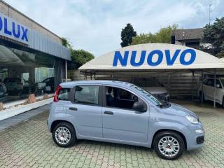 FIAT Panda usata, con Alzacristalli elettrici