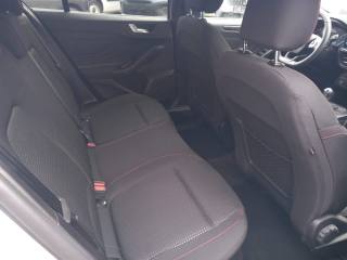 FORD Focus usata, con Bracciolo