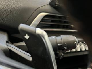 PEUGEOT 3008 usata, con Sedili riscaldati