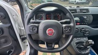 FIAT New Panda usata, con Fendinebbia