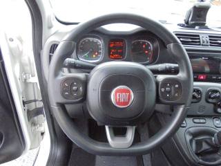 FIAT Panda usata 30