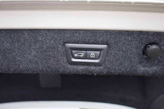 BMW 530 usata 132