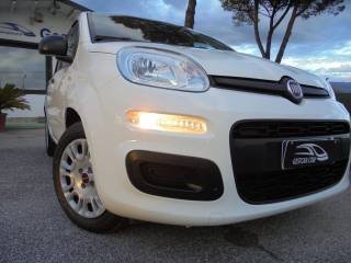 FIAT Panda usata 15
