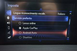 LEXUS UX 250h usata, con Interni in pelle
