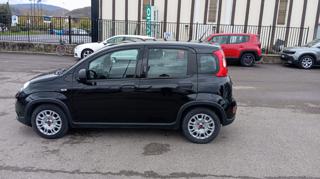 FIAT Panda usata 18