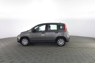 FIAT Panda usata 5