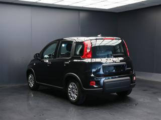 FIAT Panda usata, con Antifurto