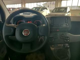 FIAT Panda usata, con Controllo trazione