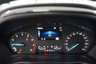 FORD Puma usata, con Fendinebbia