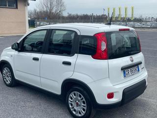 FIAT Panda usata, con Controllo trazione