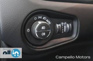 JEEP Renegade usata 16