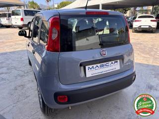 FIAT Panda usata, con Antifurto