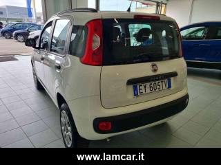 FIAT Panda usata, con Climatizzatore