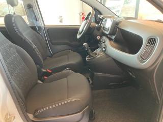 FIAT Panda usata, con Cronologia tagliandi