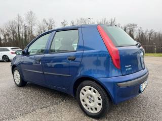 FIAT Punto usata, con Servosterzo