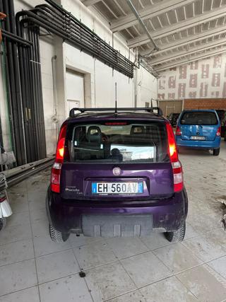 FIAT Panda usata 16