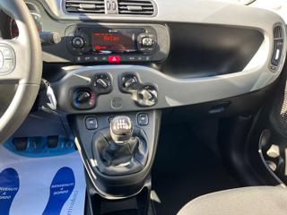 FIAT Panda Cross usata, con Climatizzatore