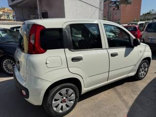 FIAT Panda usata 2