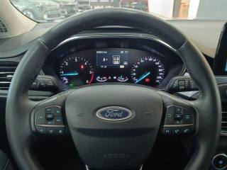 FORD Focus usata, con Bracciolo