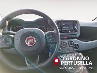 FIAT Panda usata, con Immobilizzatore elettronico
