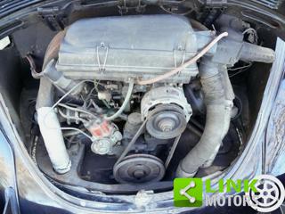 VOLKSWAGEN Maggiolone usata 26