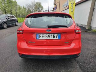 FORD Focus usata, con Airbag Passeggero