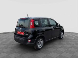 FIAT Panda usata 4