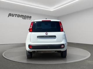FIAT Panda usata, con Autoradio